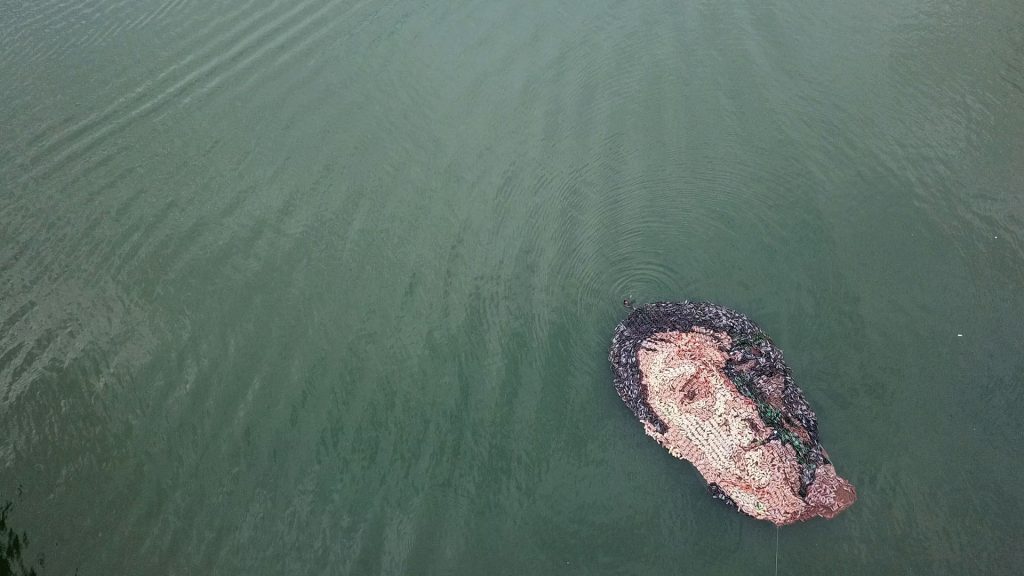 foto Petar Sarcev 10 1 1024x576