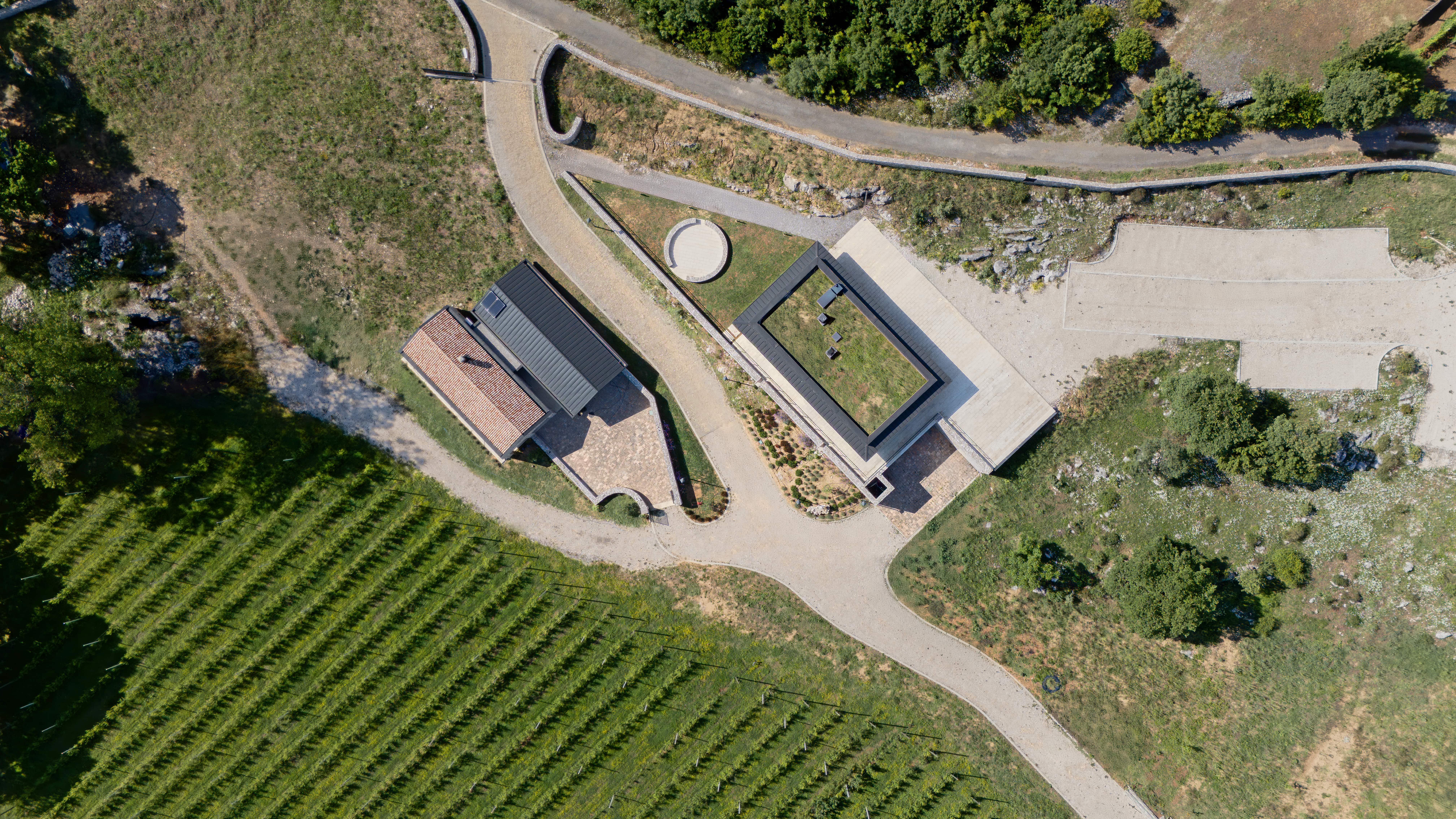 Vinarija u Bandićima 21 min 1