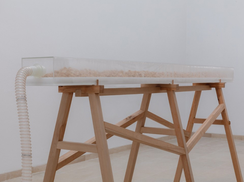 MDM BE Belgium domus 1.jpg.foto.rmedium