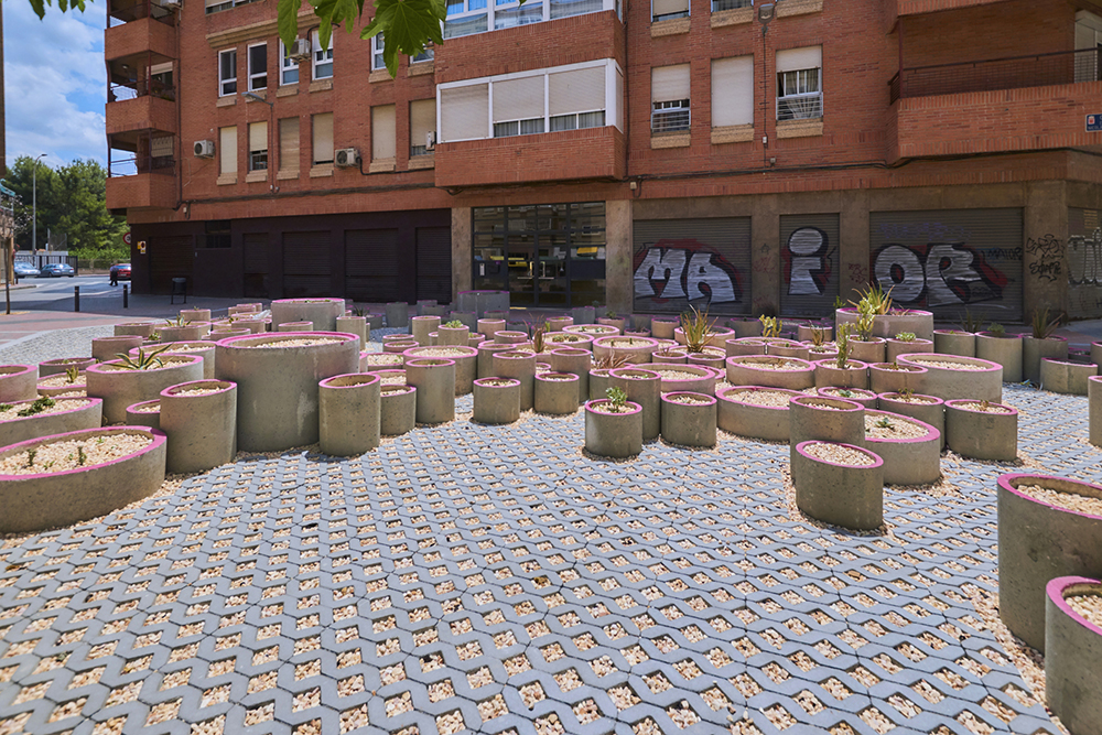 MUSEO DE SUCULENTAS 3