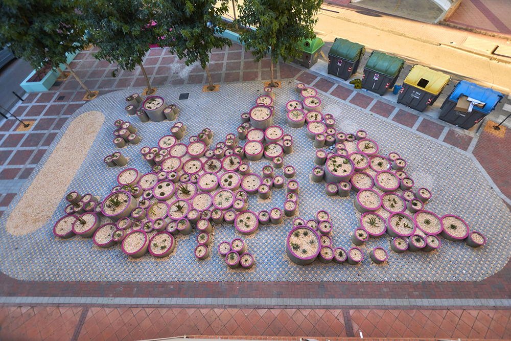 MUSEO DE SUCULENTAS 5