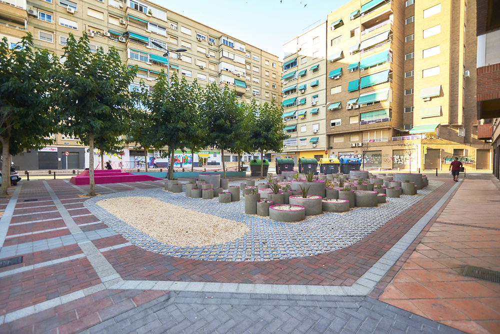 MUSEO DE SUCULENTAS 6