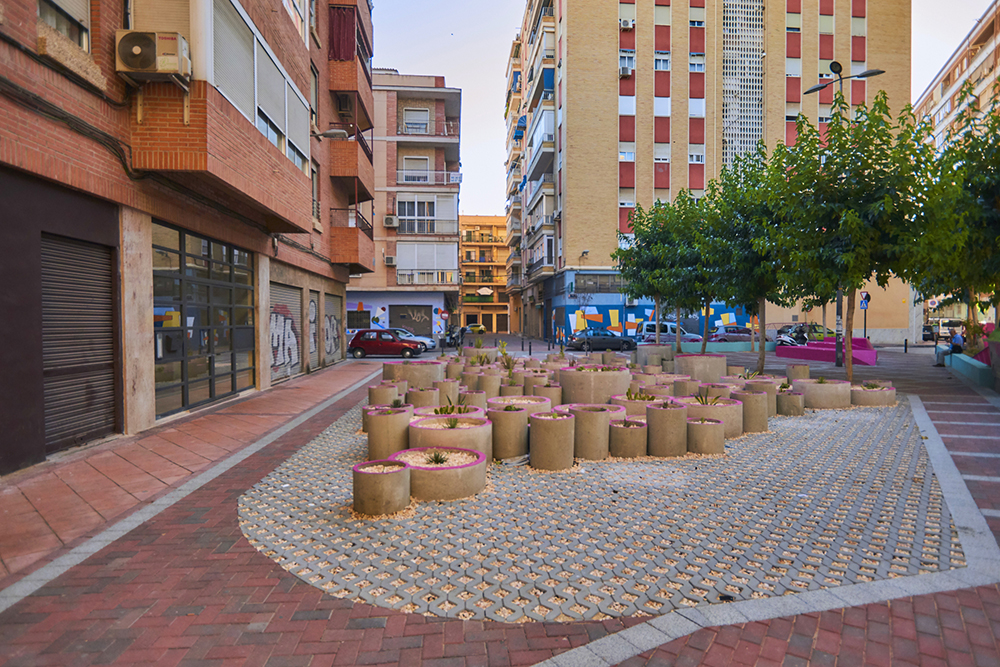 MUSEO DE SUCULENTAS 8