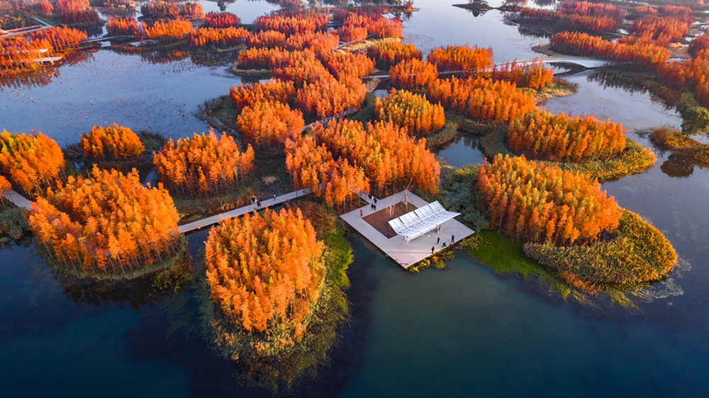 7fish tail park turenscape com