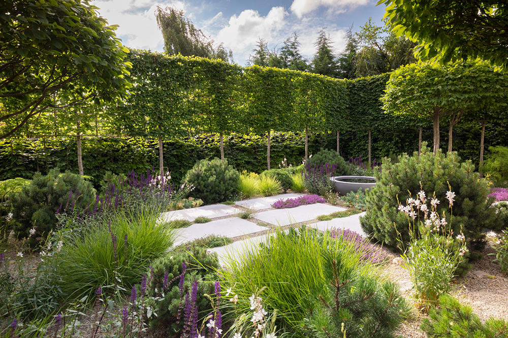 Colm Joseph Suffolk garden designer pleached trees hornbeam contemporary design limestone paving dwarf pines naturalistic planting Image Richard Bloom