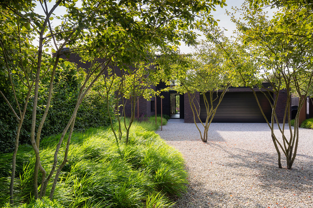 Colm Joseph garden design cambridgeshire amelanchier lamarckii hakonechloa macra minimalist landscape design modern architecture gravel drive Photo by Richard Bloom