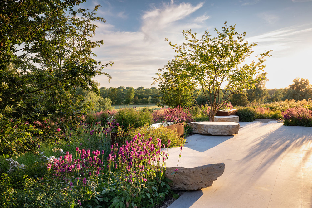 Colm Joseph garden designer cambridgeshire landscape naturalistic planting design rose meadow stachys hummelo hawthorn cornus mas limestone paving boulder seats corten steel water feature Phot