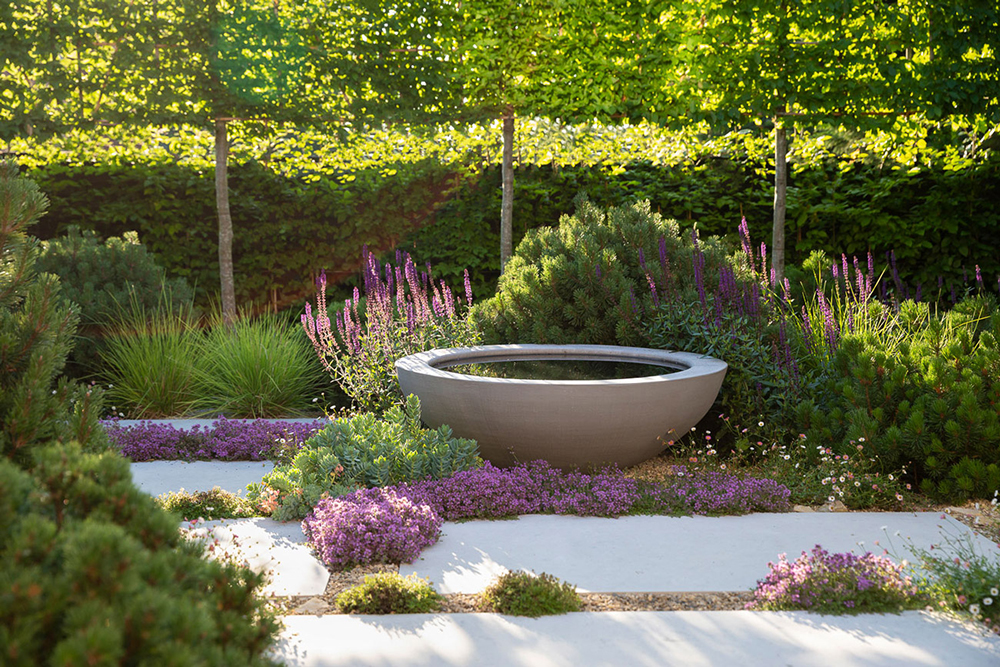 Colm Joseph suffolk garden designer water feature bowl hornbeam pleached trees limestone paving dwarf pines creeping thyme Richard Bloom Photography 1