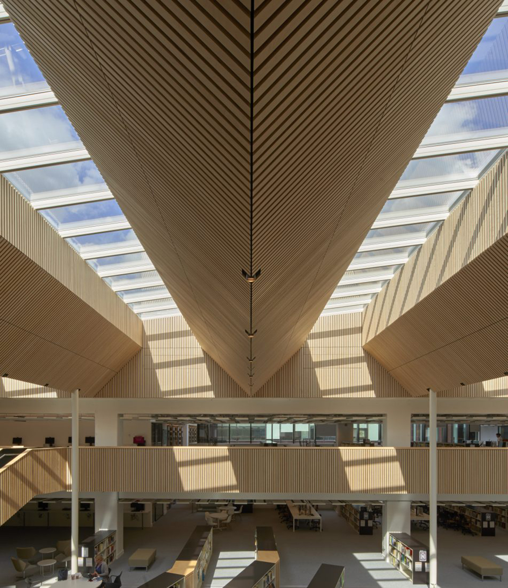 01482 N194 pressnew 951x1100