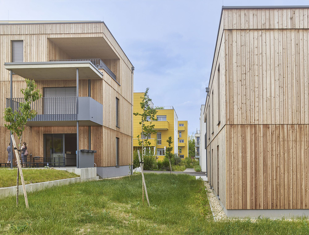 las casas del girasol arenas basabe palacios plus buschina and partner 11