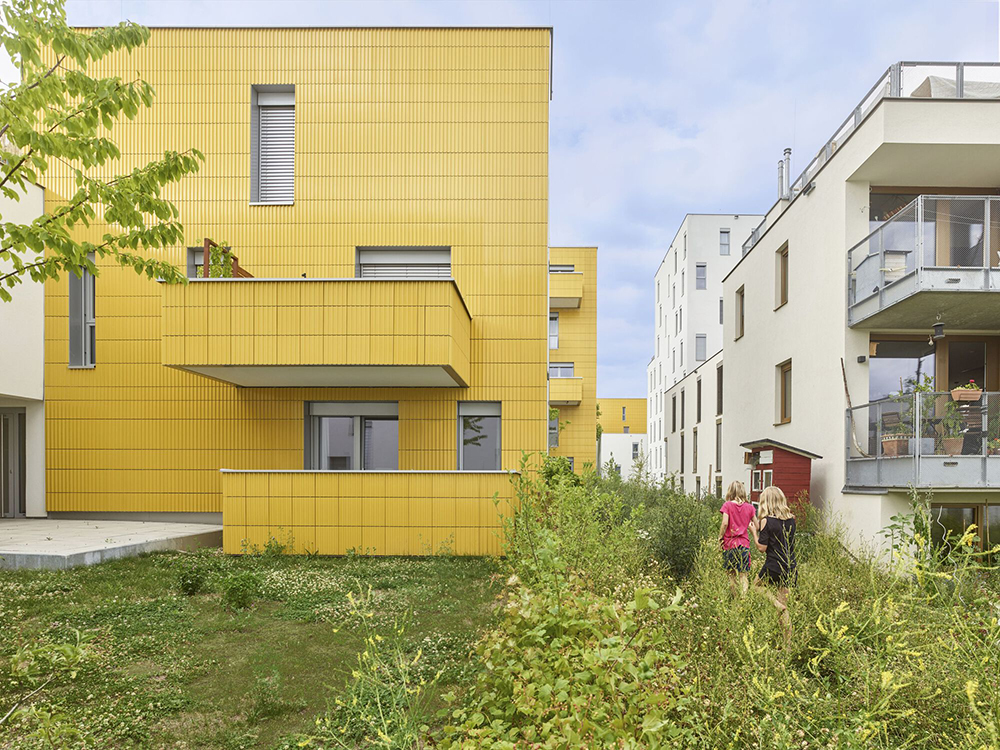 las casas del girasol arenas basabe palacios plus buschina and partner 9