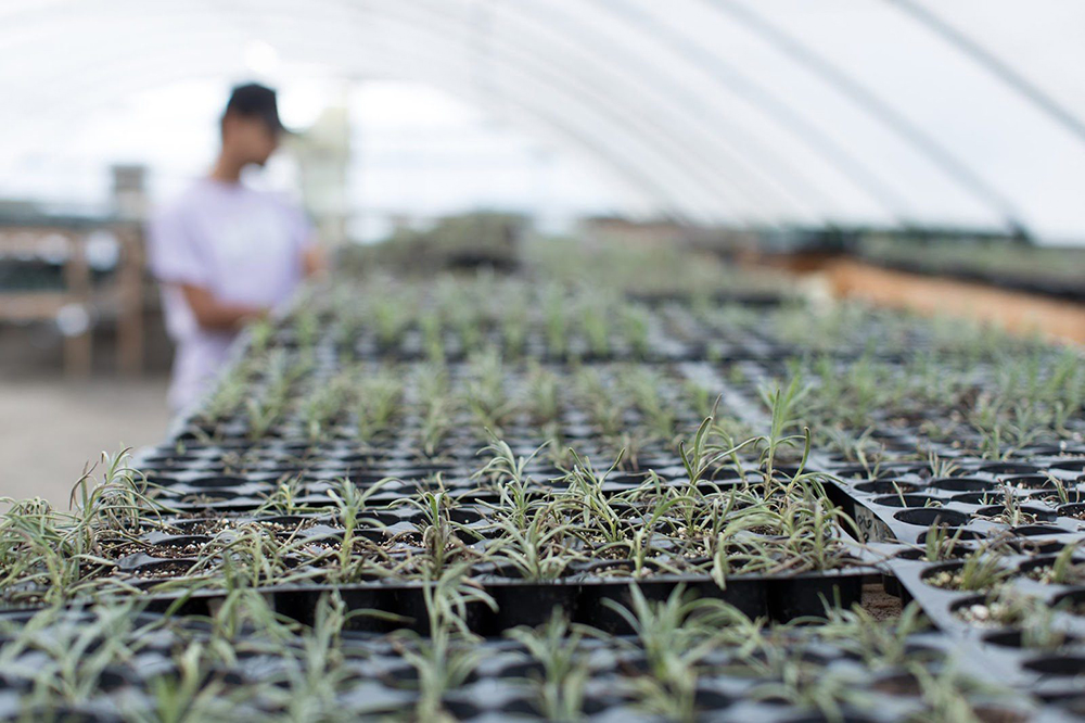 BYNedWaGoP2QAhmGm4susqmUudtUBh9EPoIrLqkPjYtPpDXKNWt5nljULAGaQWLSjAmURhBxosxJSx9MEI4V9vmZntcwPD dB0XnjbOL02ffwW1ds3zh8PdHc3Bw15xBFq7Ngubl