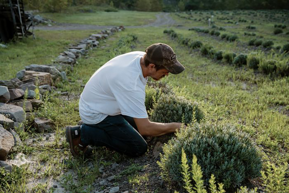 wallstreetjournal Kristian Thacker1