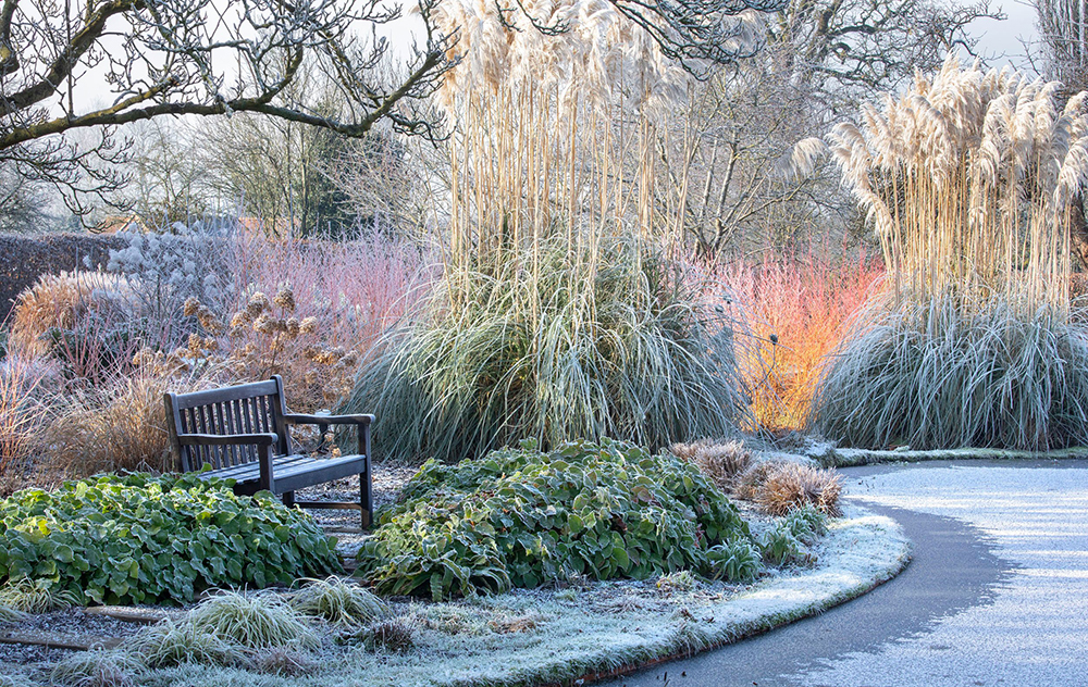 Berks 33095 St Timothee 111862