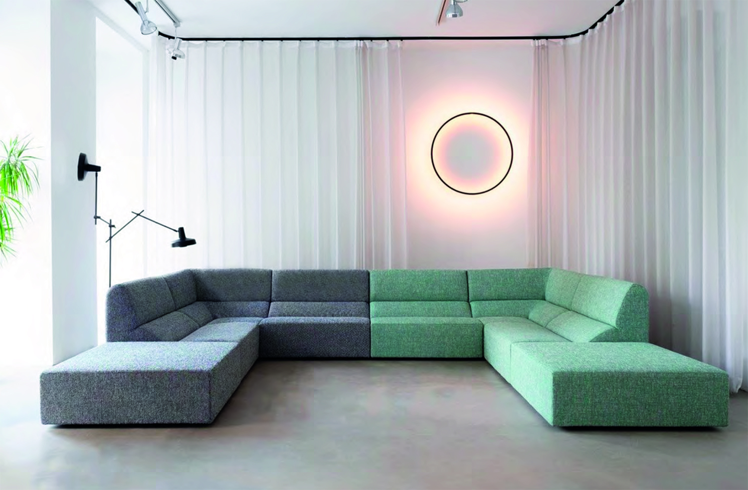 la mia cavzxvsa 67 2