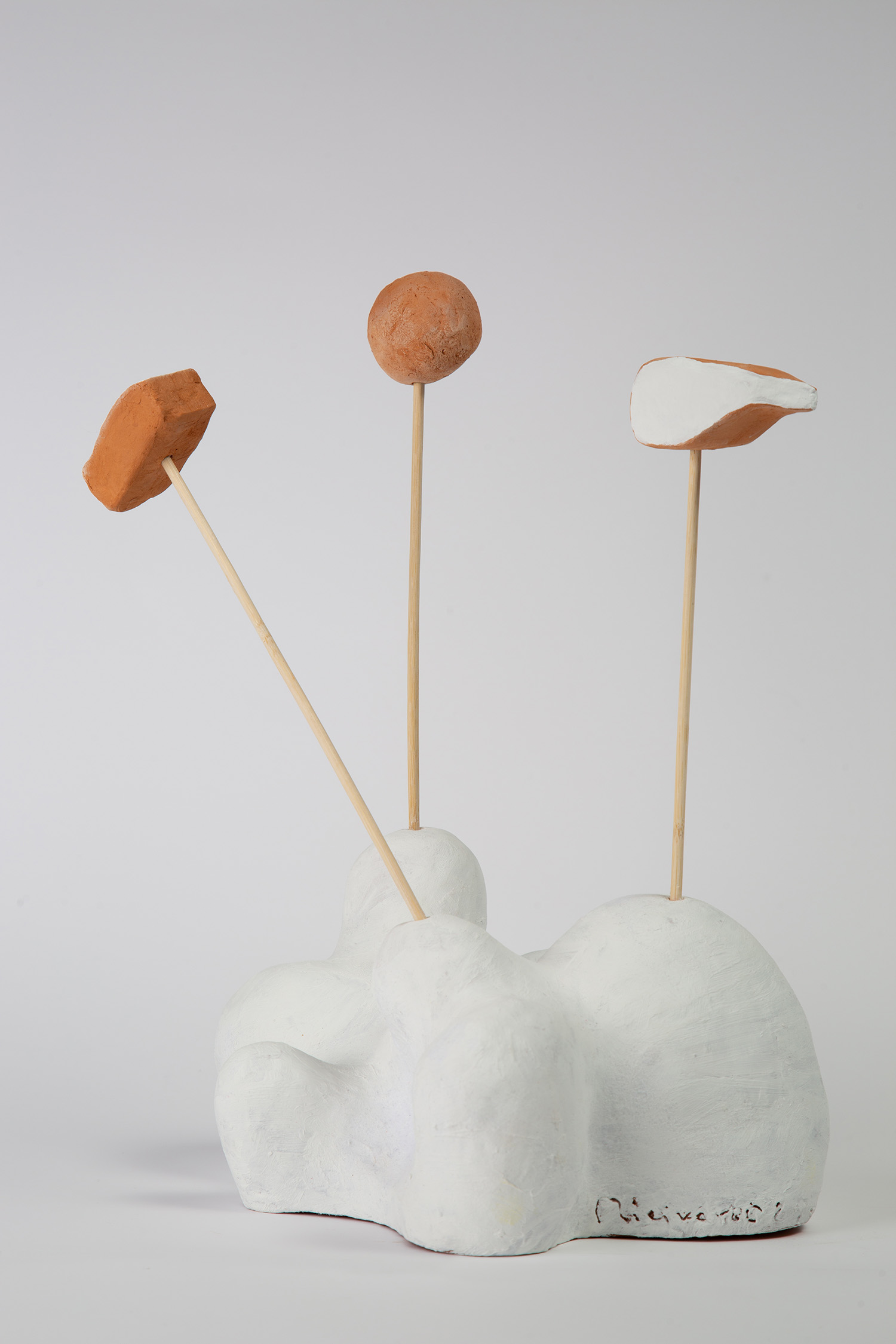 10 Harmonizacija u vidnom polju