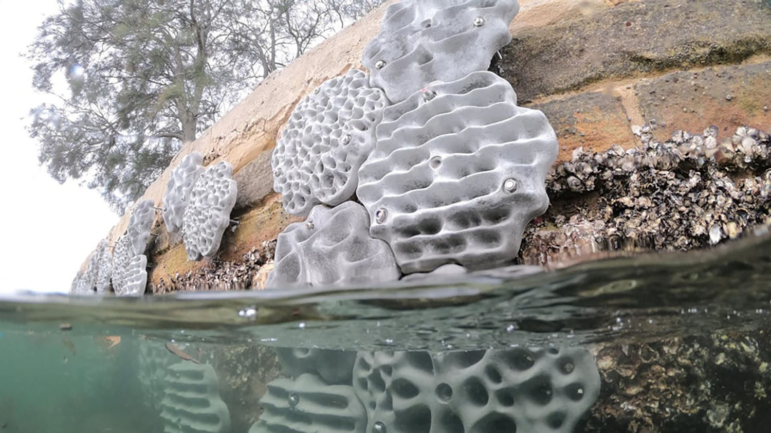 impakter com seawall sydney