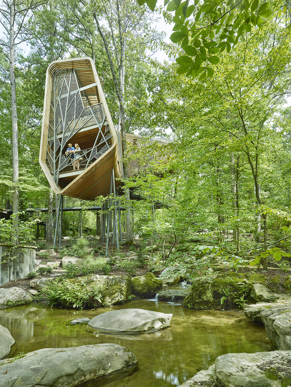 21 modus studio garvan tree house 0489