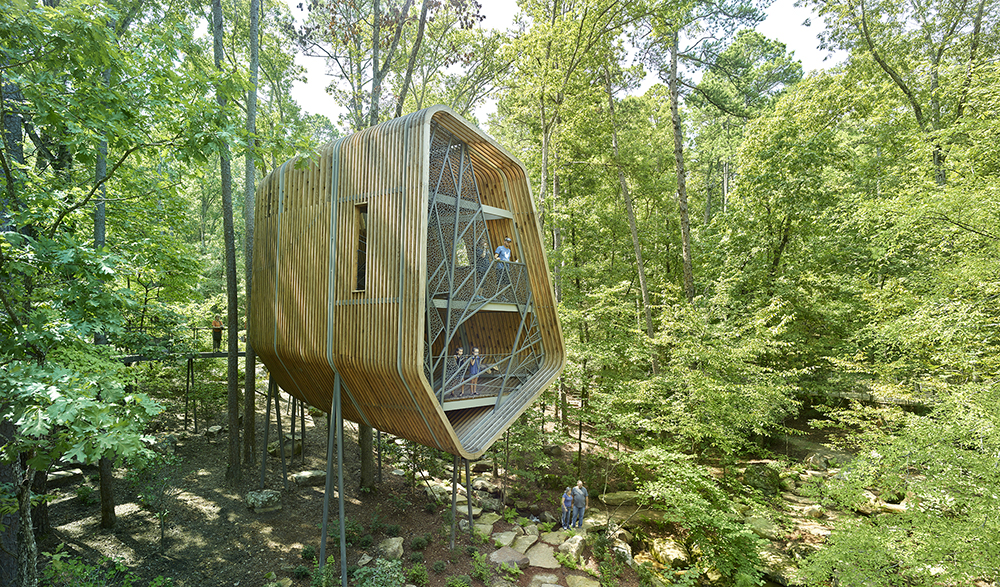 22 modus studio garvan tree house 0538