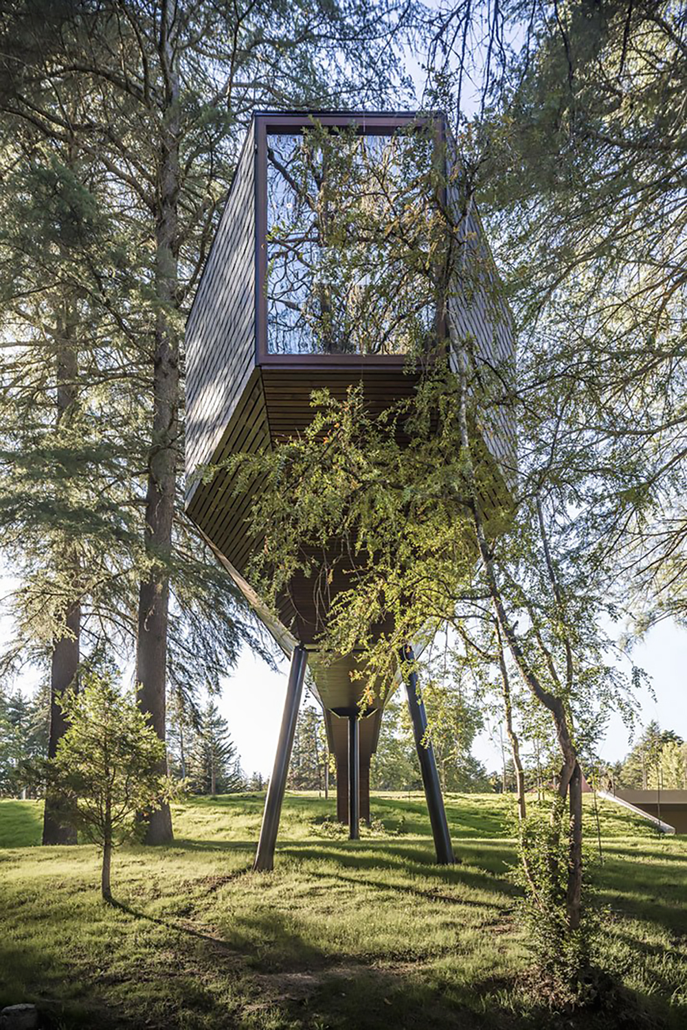 6 Tree Snake Houses by Rebelo de Andrade Studio yatzer