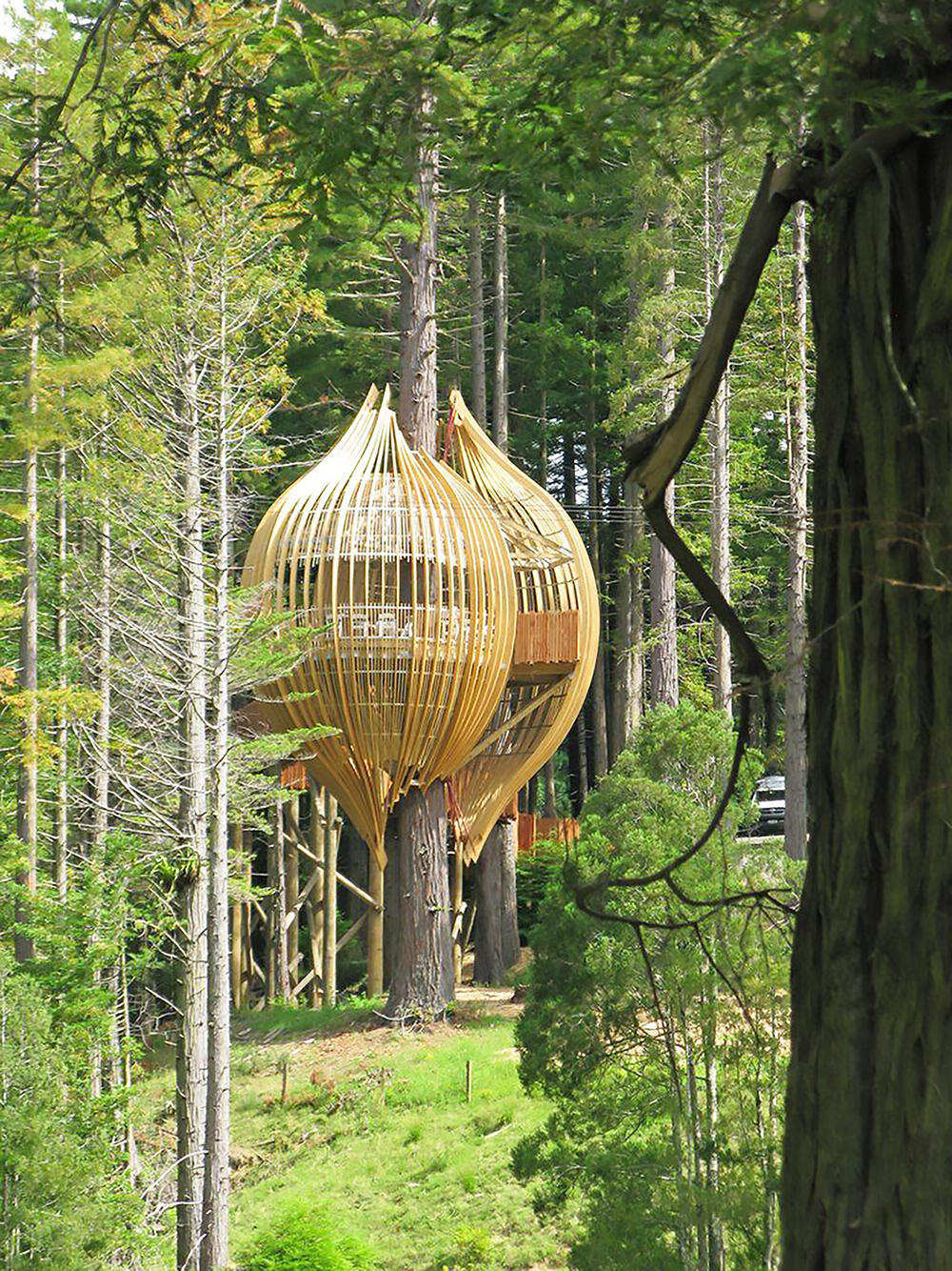 b86522a762075a0f07bbe3a4f90fa1ae