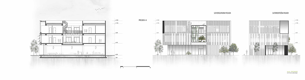 04 Betula DC Studio Synthesis Presjek i fasade