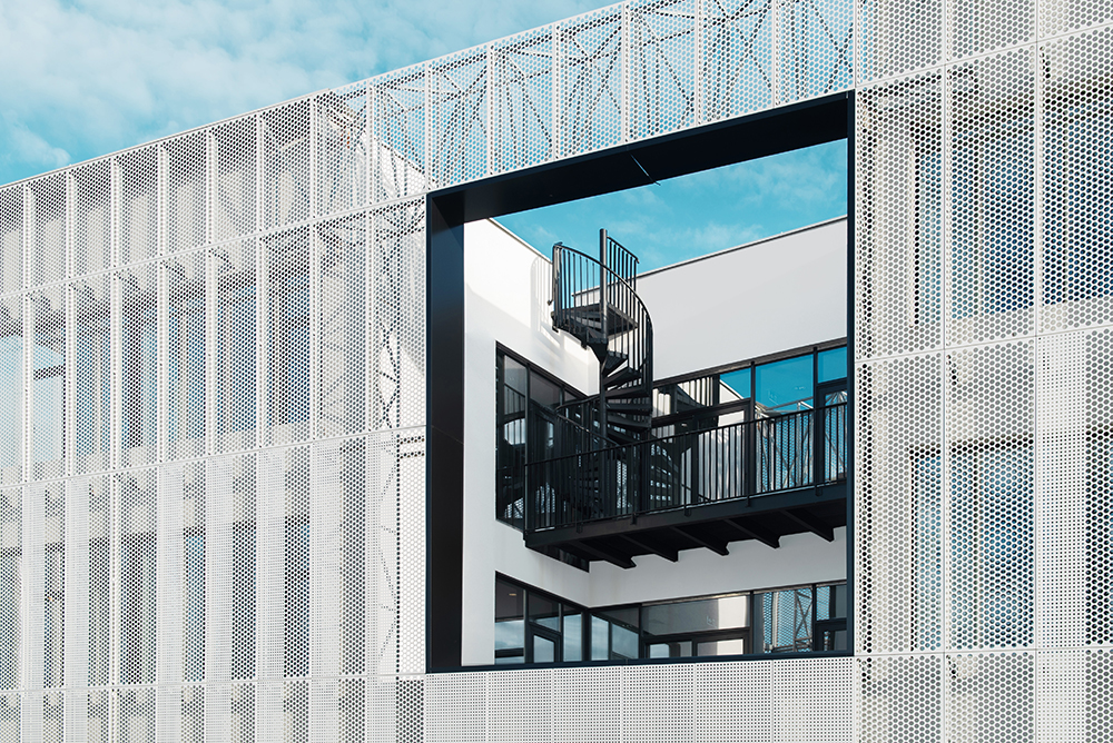 08 Betula DC Studio Synthesis