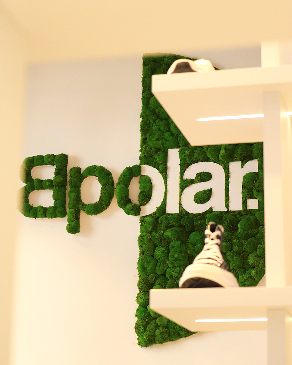 bpolar logo