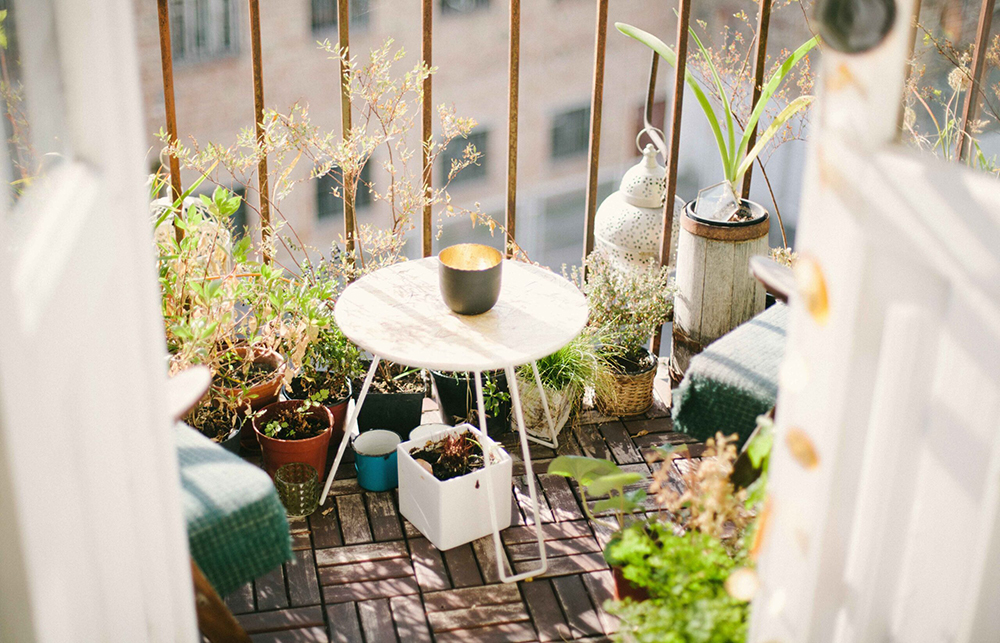 Balcony Garden interior design scaled