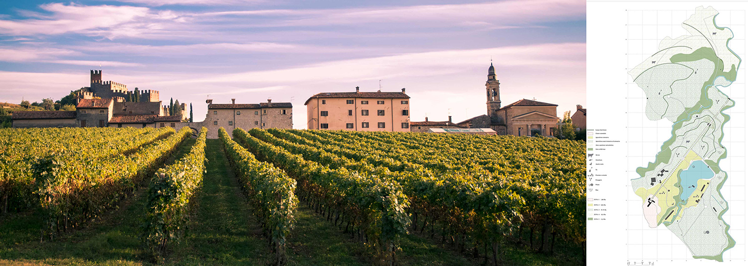 Soave