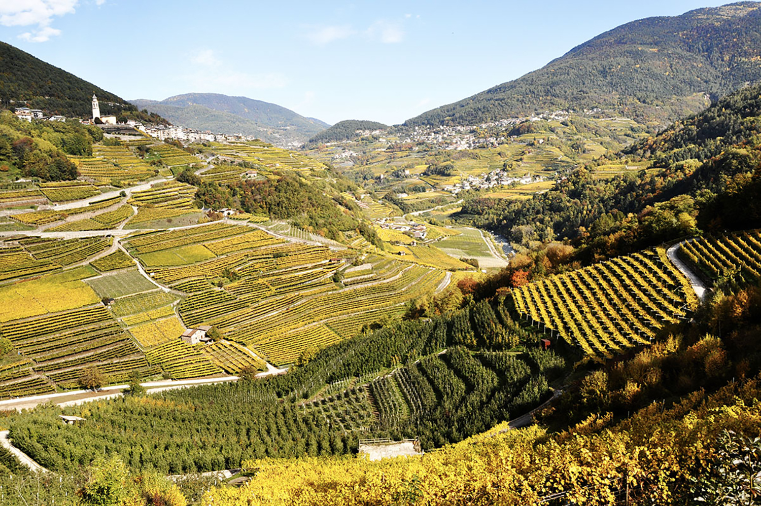 WWW VIGNAIOLIDELTRENTINO IT VALLE DI CEMBRA1