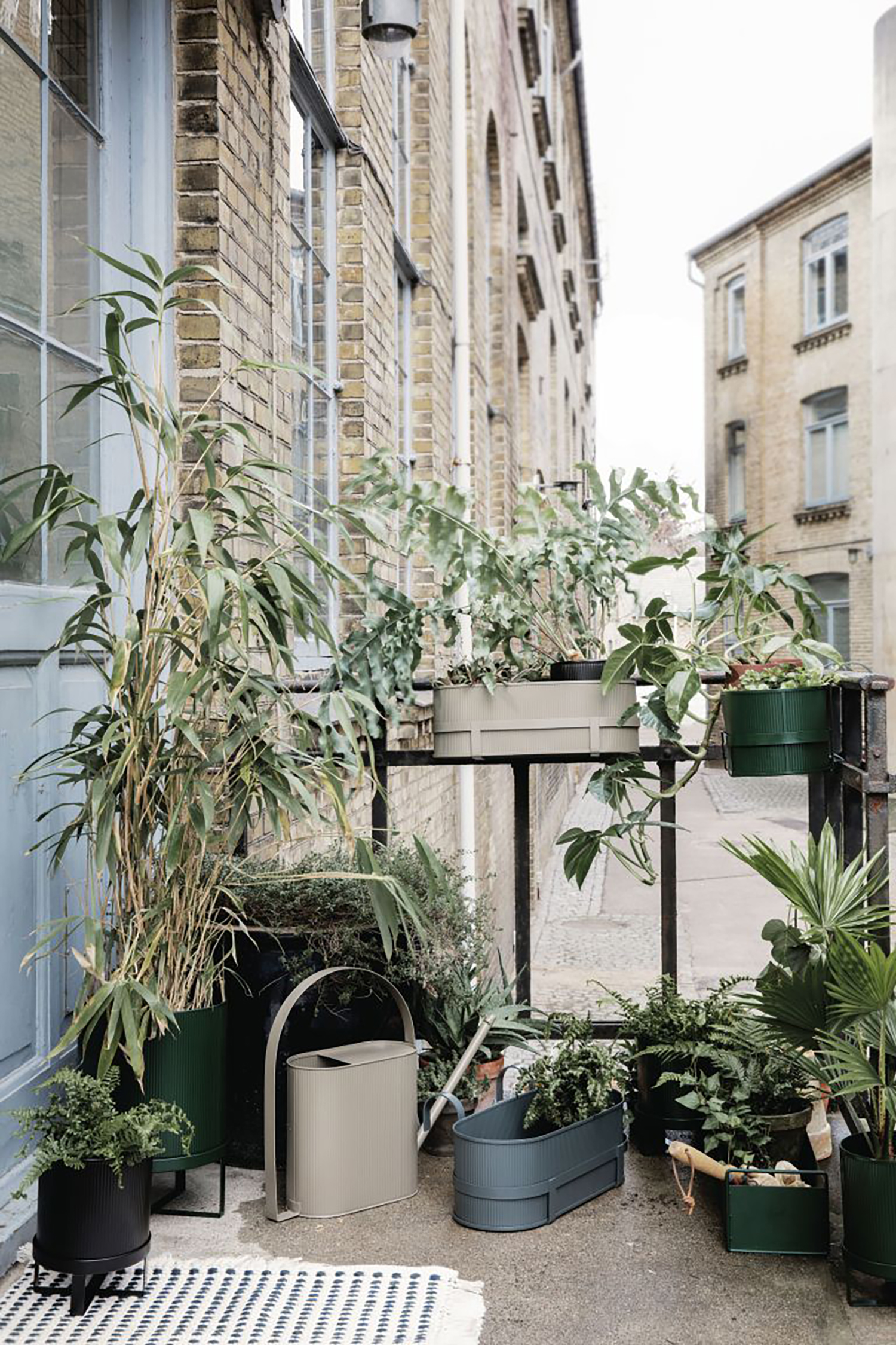 Image credit Nest